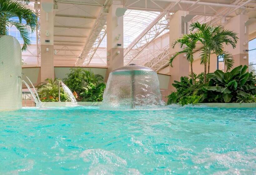 اتاق استاندارد یک نفره, Lotus Therm Spa&luxury Resort