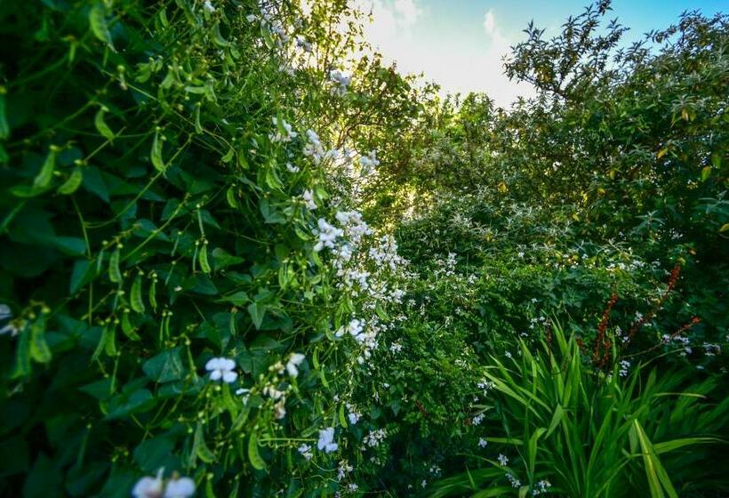 수피리어 스위트, Margaret River Guest House