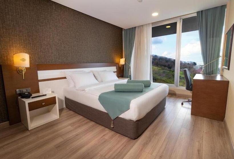 اتاق استاندارد با چشم‌انداز, Tilya Resort