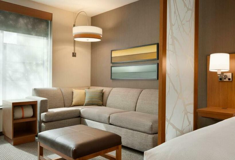חדר סטנדרט עם מיטת קינג, Hyatt Place Washington Dc/georgetown/west End