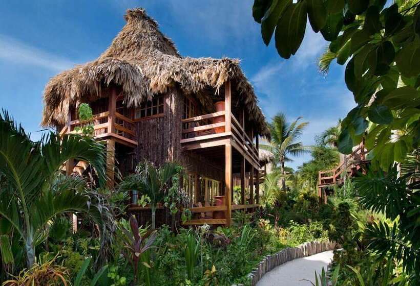 Люкс Премиум, Ramon's Village Resort