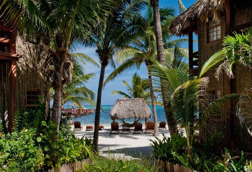 Люкс Повышенной Комфортности, Ramon's Village Resort