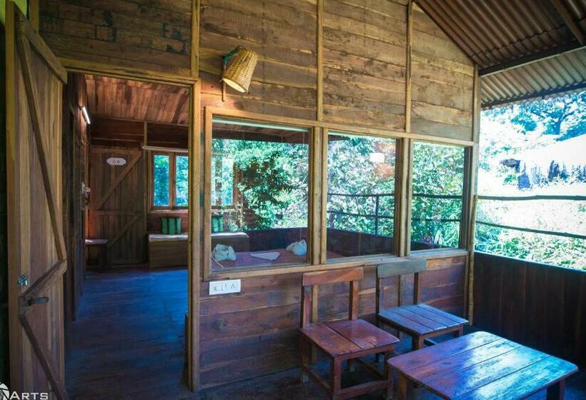 Номер Deluxe с Балконом, Tiger N Woods Resort