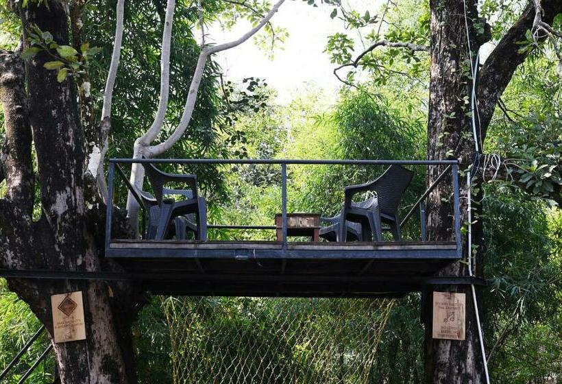 Номер Deluxe с Балконом, Tiger N Woods Resort