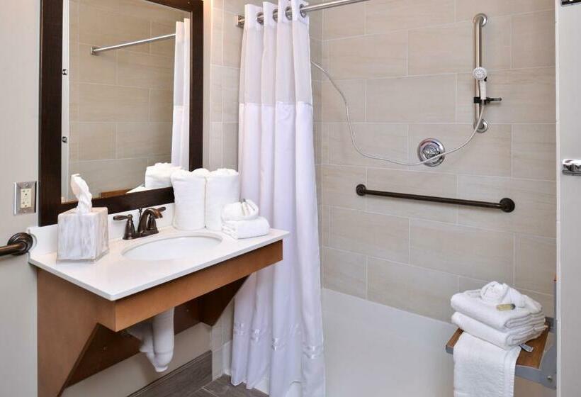 장애인을 위한 킹사이즈 침대 스탠다드 룸, Appomattox Inn And Suites