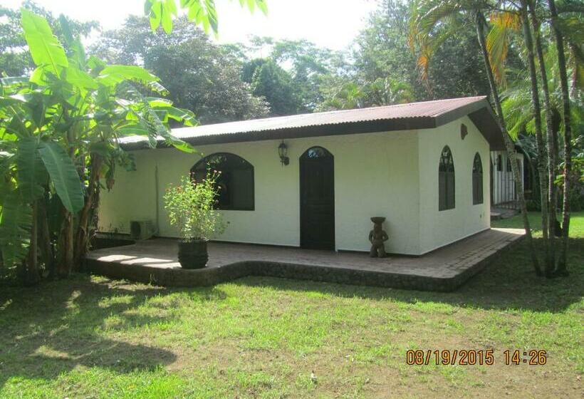 Номер Стандарт, Spirit Of Jungle Lodge