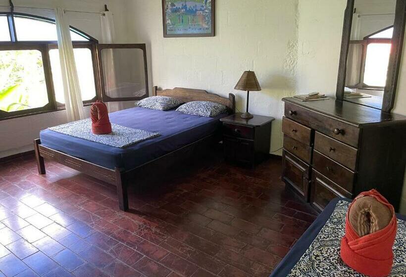 标准间, Spirit Of Jungle Lodge
