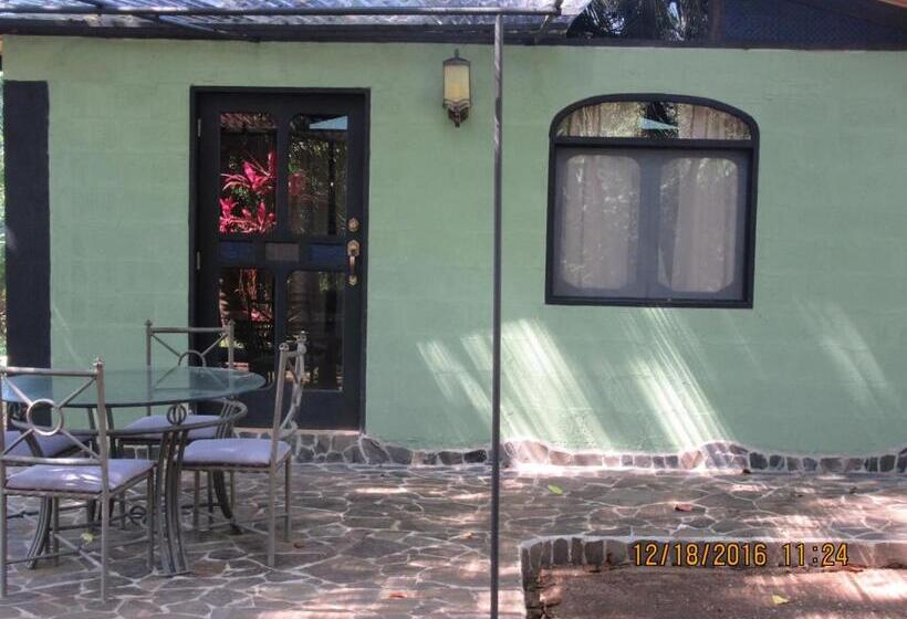 Бунгало Deluxe, Spirit Of Jungle Lodge
