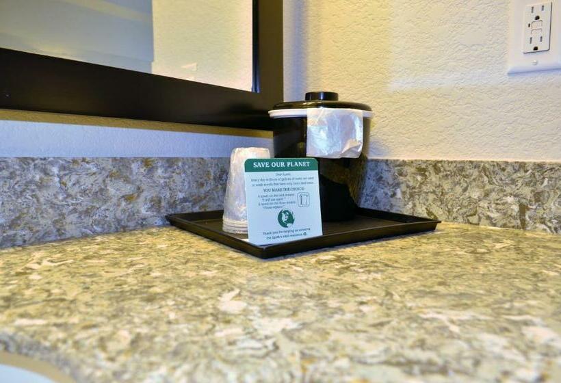 Номер Стандарт Кровать Кинг Адаптированный для Инвалидов, Cobblestone Inn & Suites  Holstein