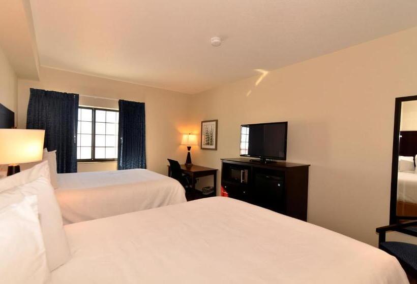 Студия Стандарт, Cobblestone Inn & Suites  Holstein