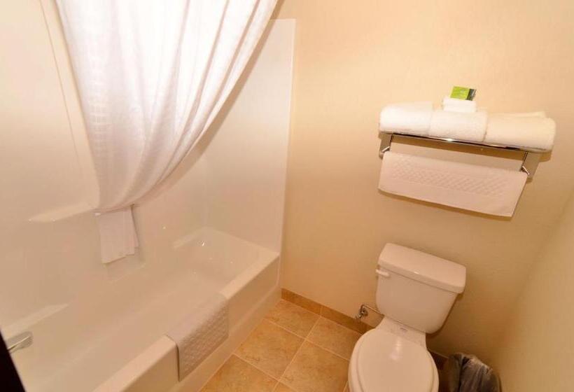 Family Suite, Cobblestone Inn & Suites  Holstein