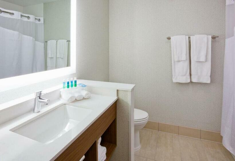 스위트, Holiday Inn Express And Suites Des Moines Downtown, An Ihg