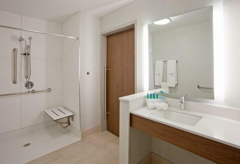 장애인을 위한 킹사이즈 침대 스탠다드 룸, Holiday Inn Express And Suites Des Moines Downtown, An Ihg