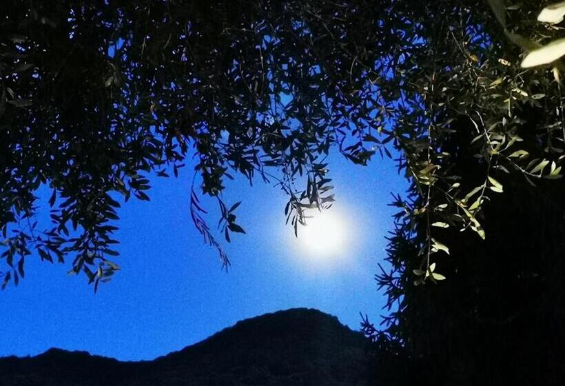 Номер Basic, Acquachiara Iseo Deluxe Bed & Breakfast Iseo Center With Garden And Parking Inside