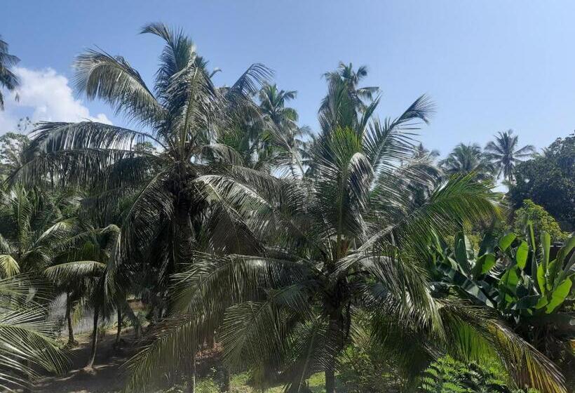 آپارتمان 1 خوابه با چشم‌انداز باغ, Paradiso
