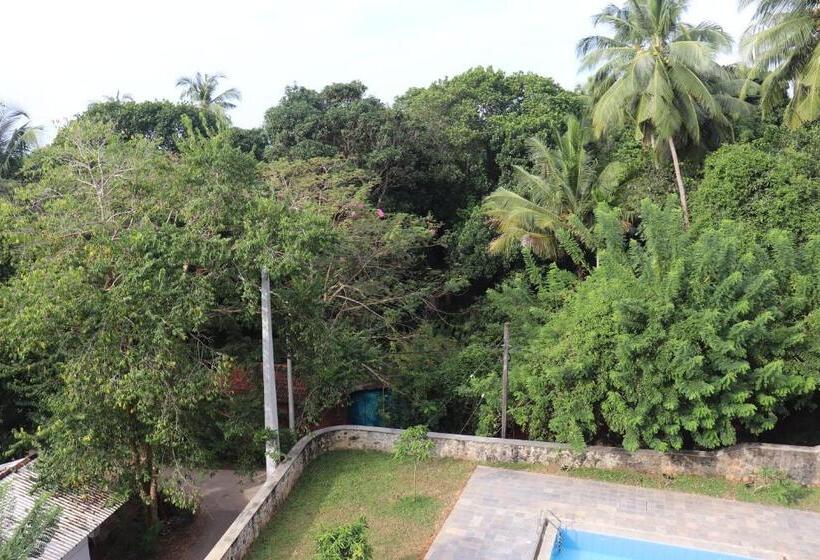 استودیو استاندارد با بالکن, Paradiso