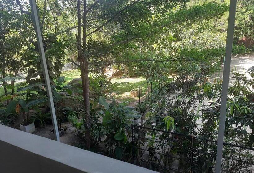 آپارتمان 1 خوابه با چشم‌انداز باغ, Paradiso