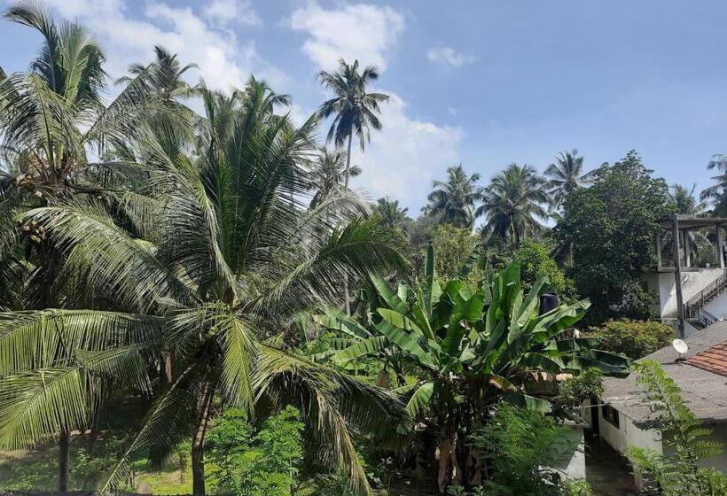 استودیو استاندارد با چشم‌انداز باغ, Paradiso