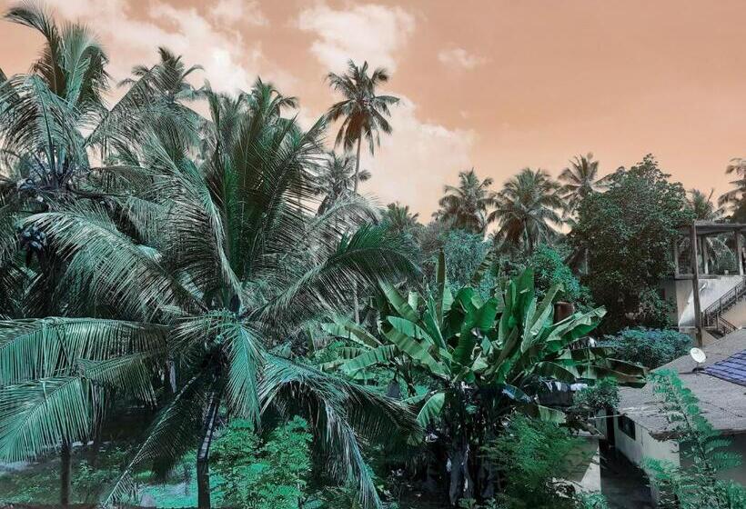 استودیو استاندارد با چشم‌انداز باغ, Paradiso