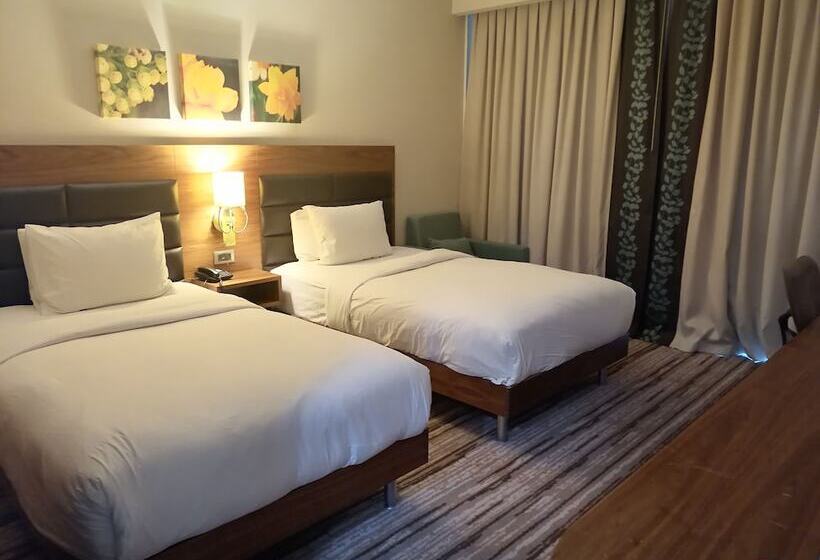 Номер Стандарт, Hilton Garden Inn Erzincan