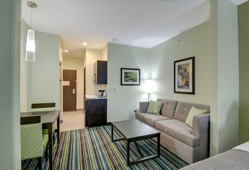 Люкс, Holiday Inn Express & Suites Carrizo Springs By Ihg