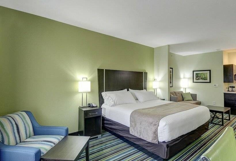 Люкс Адаптированный для Инвалидов, Holiday Inn Express & Suites Carrizo Springs By Ihg