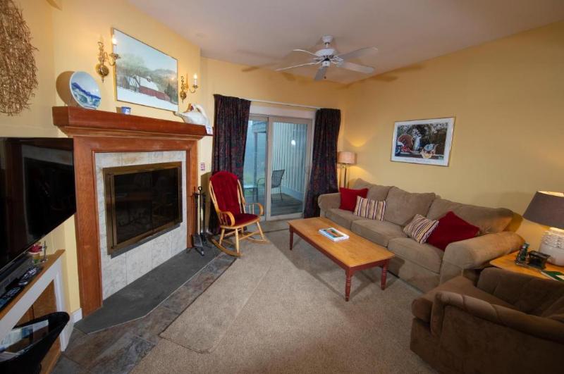Апартаменты 1 Спальня, Okemo Mountain Condo