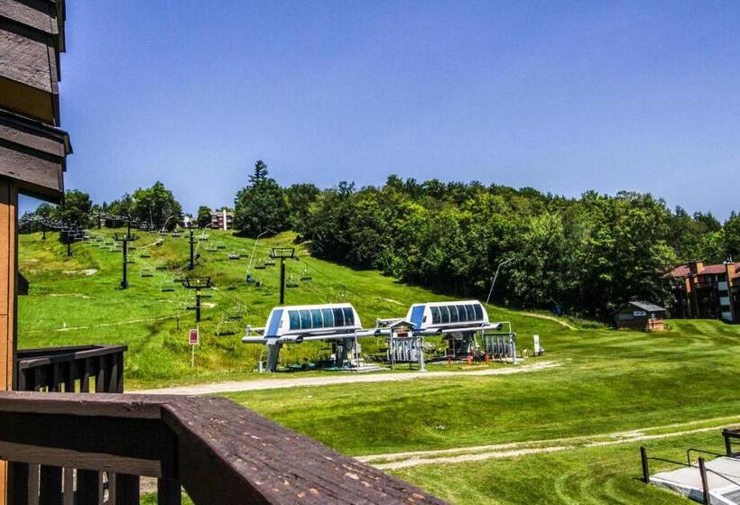 Апартаменты 1 Спальня, Okemo Mountain Condo