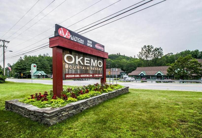 Апартаменты 1 Спальня, Okemo Mountain Condo