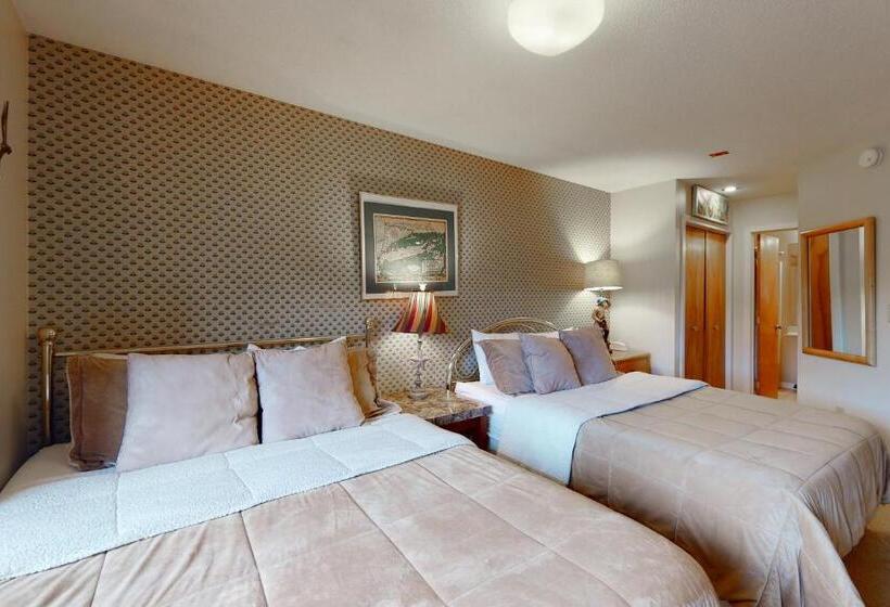 Апартаменты 1 Спальня, Okemo Mountain Condo