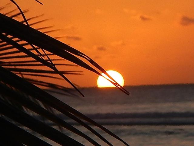 استودیو استاندارد با چشم‌انداز باغ, Reefcomber Sunset Beach