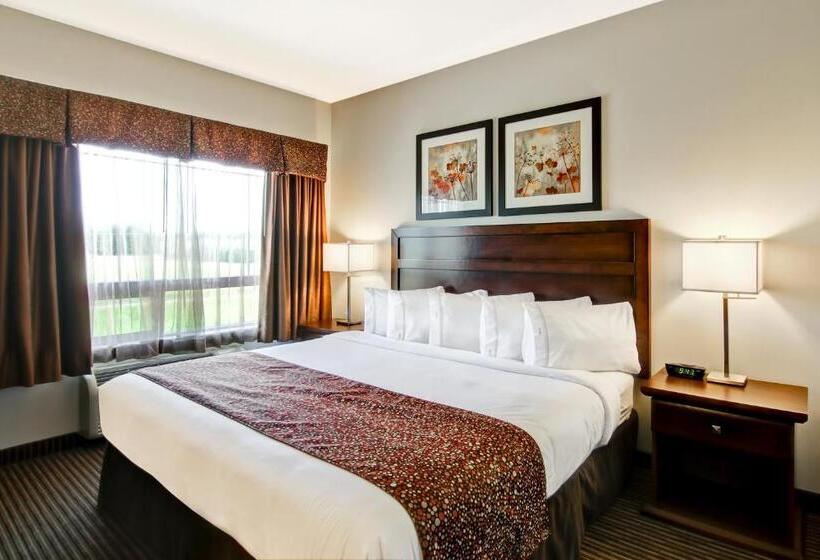 身障者適用キングサイズベッドルーム, Canalta Hotel Tisdale