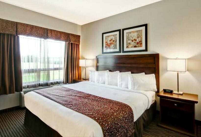 キングサイズベッドのスタンダードルーム, Canalta Hotel Tisdale
