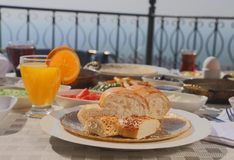 اتاق اکونومی یک تخته, Dara Konağı