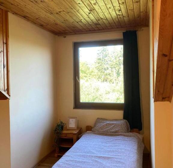 标准间, Kancsal Harcsa Panzió és Halászcsárda