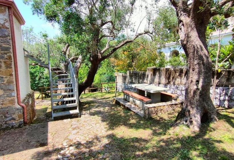 آپارتمان 1 خوابه, Villa Irma