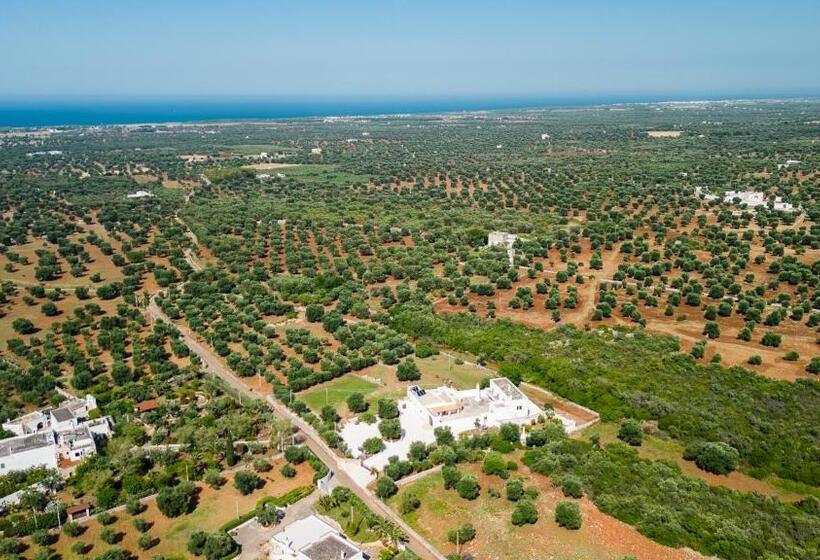 اتاق استاندارد, Masseria Abadia Uno