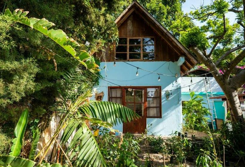آپارتمان 1 خوابه با چشم‌انداز باغ, Eden Atitlan