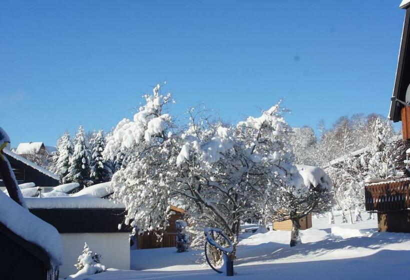 Номер Стандарт, Landhotel Garni Schweizerhaus