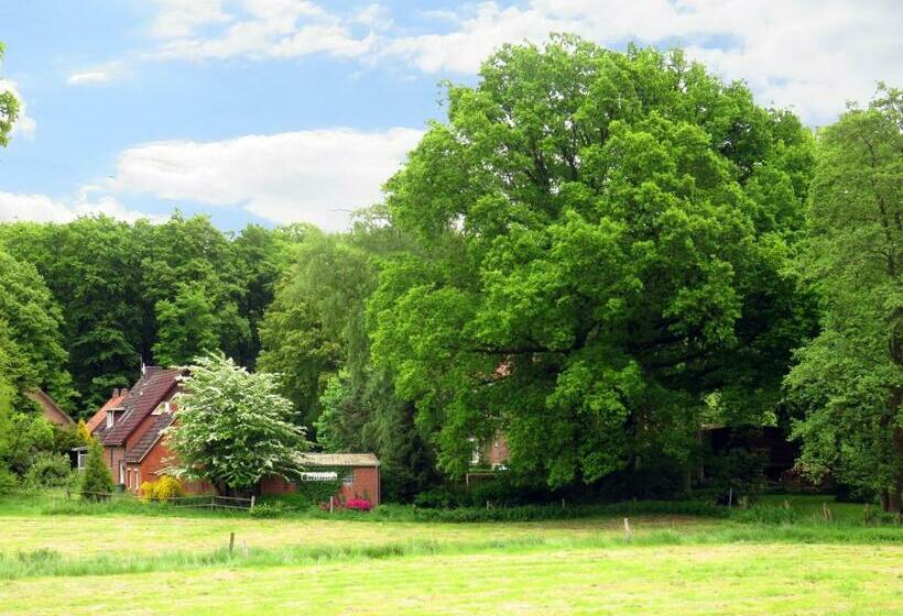 Номер Стандарт, Land Gut Hotel Waldesruh