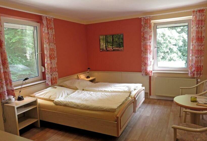 Номер Стандарт, Land Gut Hotel Waldesruh