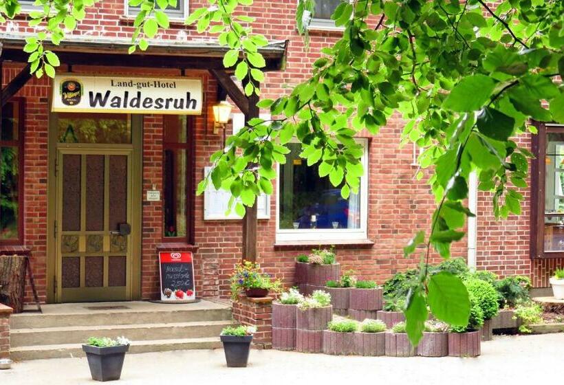 Номер Стандарт Индивидуальный, Land Gut Hotel Waldesruh