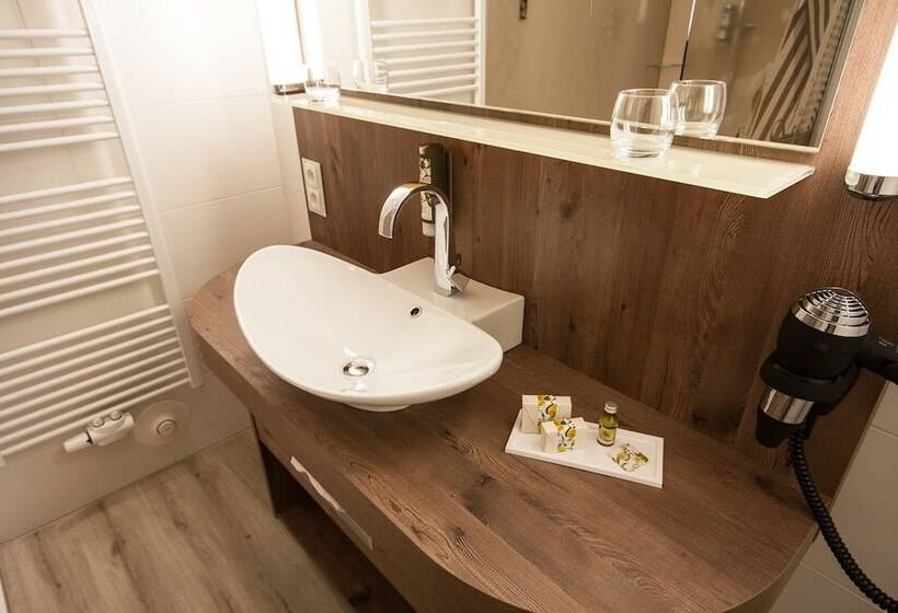 スタンダードルーム, Arkadenhaus   Hotel Freiherr Von Schwarzenberg