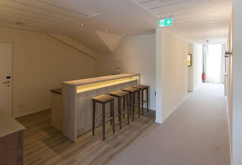 Люкс, Arkadenhaus   Hotel Freiherr Von Schwarzenberg