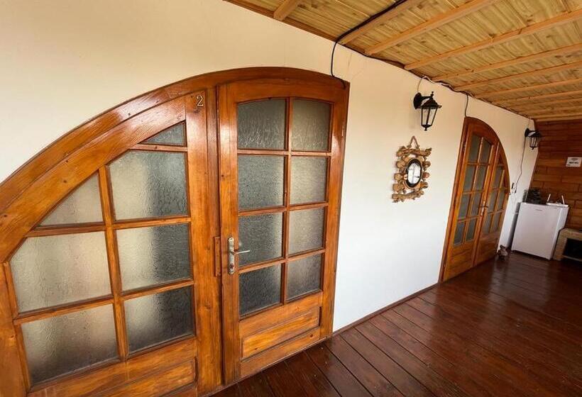 Апартаменты 2 Спальни с Террасой, Casa Ilinca