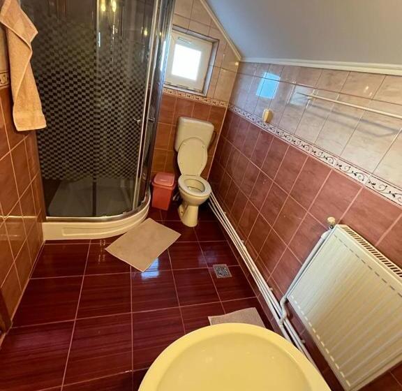 Апартаменты 2 Спальни с Террасой, Casa Ilinca