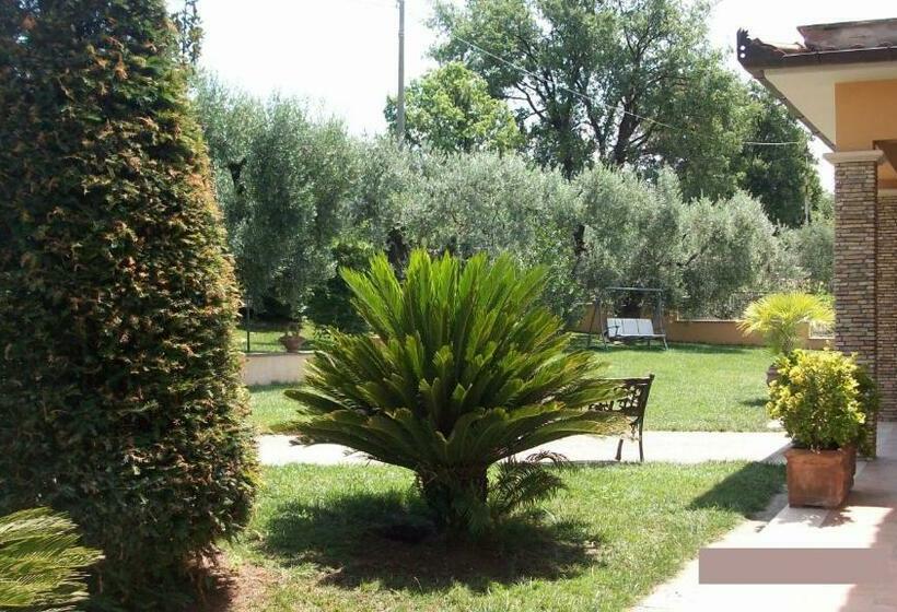اتاق لوکس, Il Giardino Degli Ulivi