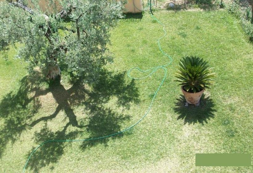 اتاق لوکس, Il Giardino Degli Ulivi