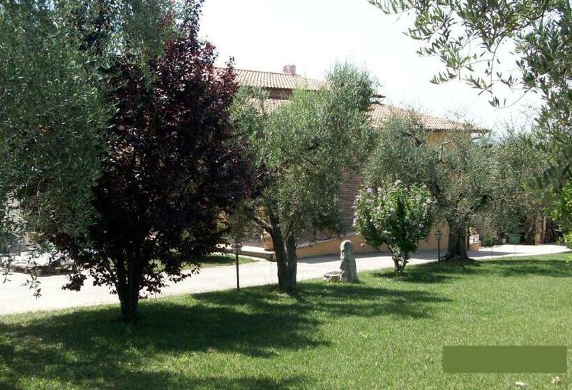 اتاق لوکس, Il Giardino Degli Ulivi