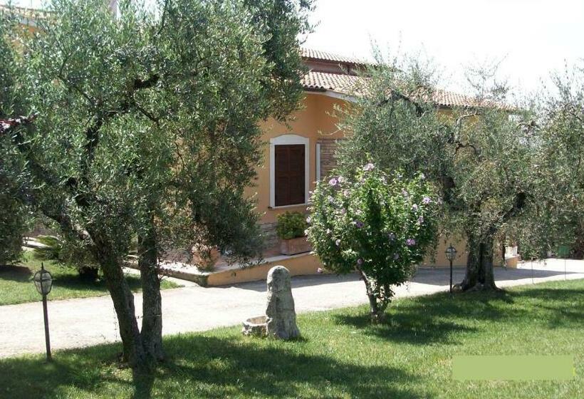 اتاق لوکس, Il Giardino Degli Ulivi